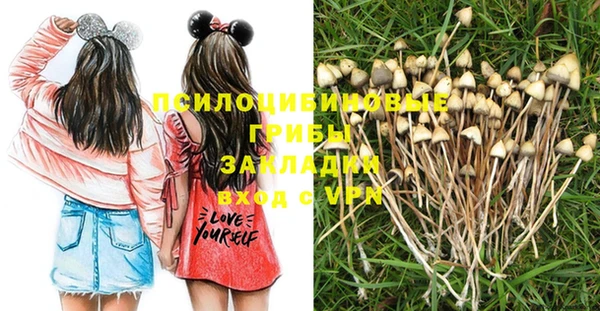 мет Белокуриха