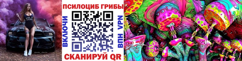 закладки  Заволжье  Псилоцибиновые грибы прущие грибы 